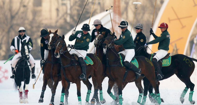 Vokkero Squadra used in China at the Snow Polo Cup 2014